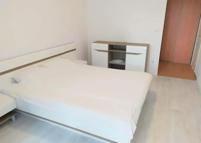 홈스테이 Joanna 코워브제크